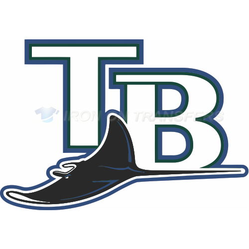 Tampa Bay Rays Iron-on Stickers (Heat Transfers)NO.1944